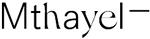 Company Name